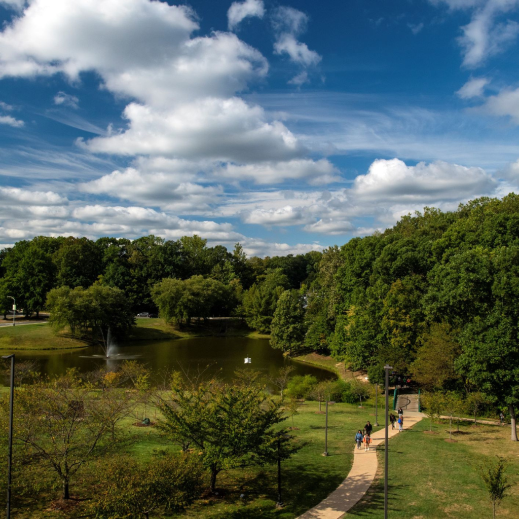 Students walk along a path leading out of a grove of trees beside Mason Pond. The sky is very blue and the clouds are varied and white, indicating a good weather day.