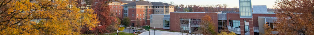 Southside dining hall and adjacent dorms. The trees in the area are all reds or yellows from fall.